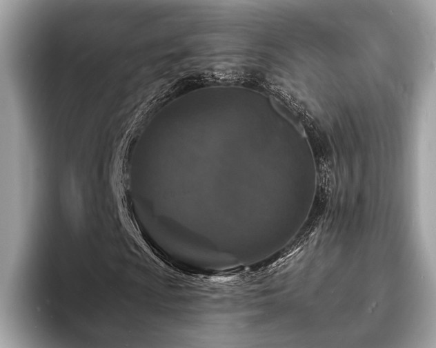 X0000093721009200710161054