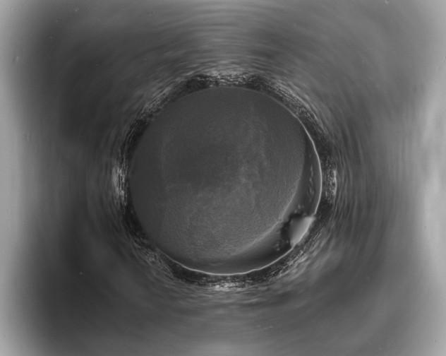 X0000093721010200710161054