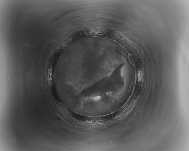 X0000093721011200710161054