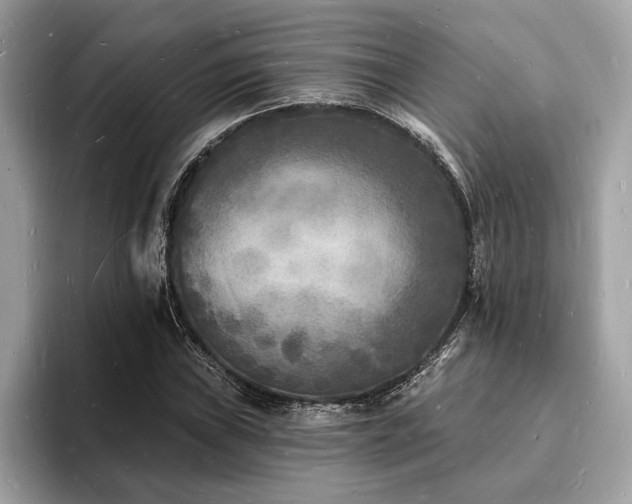 X0000093721019200710161054