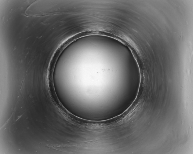 X0000093721020200710161054