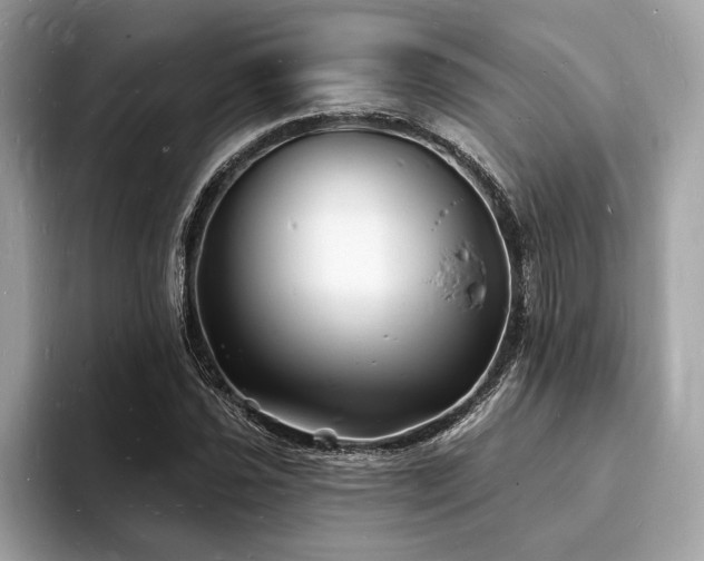 X0000093721021200710161054
