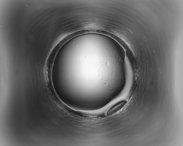 X0000093721022200710161054