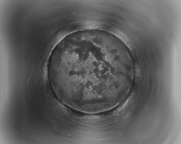 X0000093721023200710161054