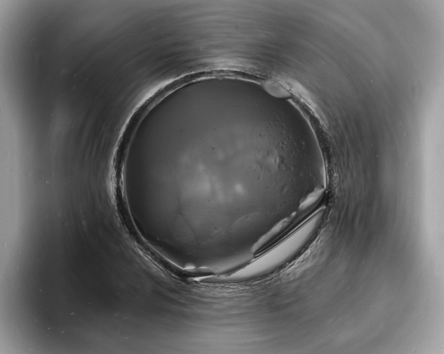 X0000093721024200710161054