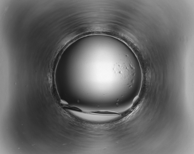 X0000093721025200710161054
