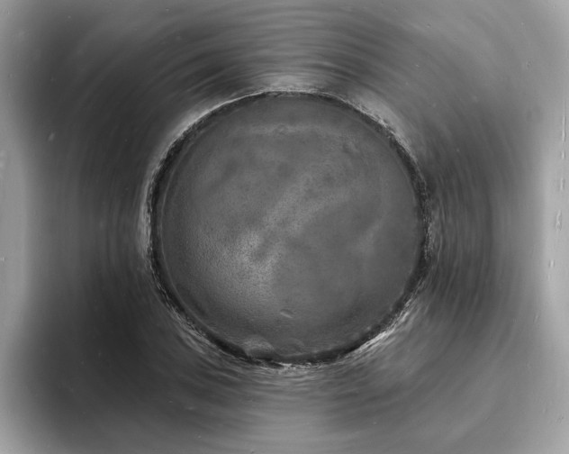 X0000093721027200710161054