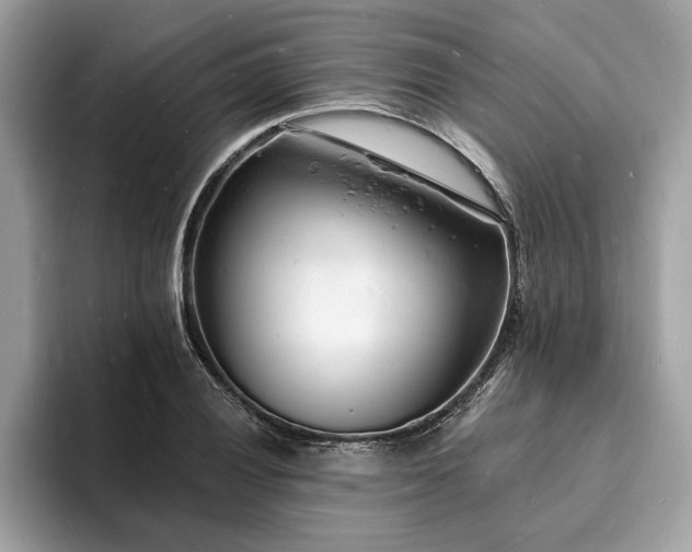 X0000093721028200710161054