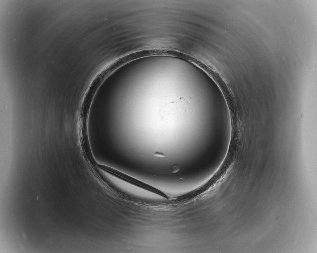 X0000093721029200710161054