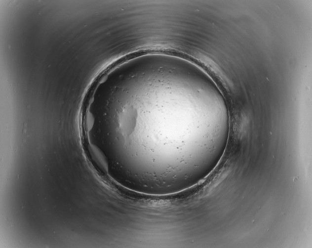 X0000093721030200710161054