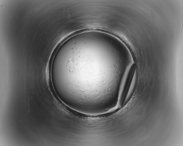 X0000093721032200710161055