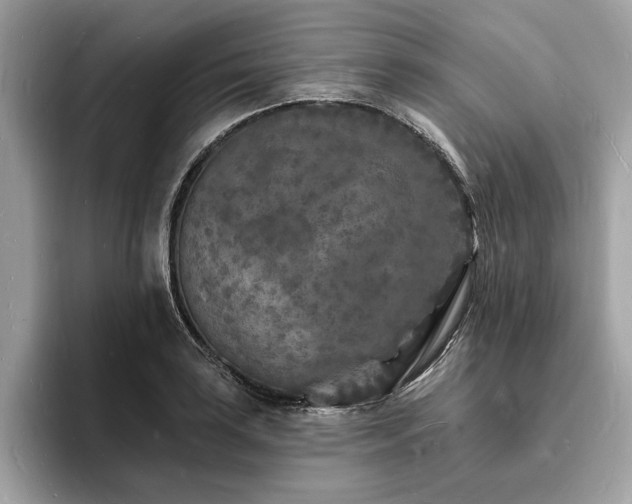 X0000093721035200710161055