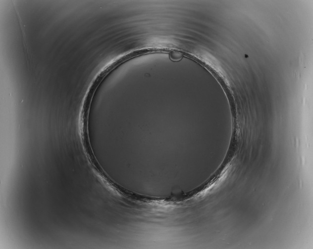 X0000093721037200710161055