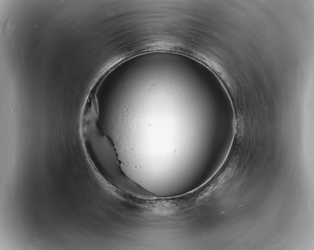X0000093721042200710161055