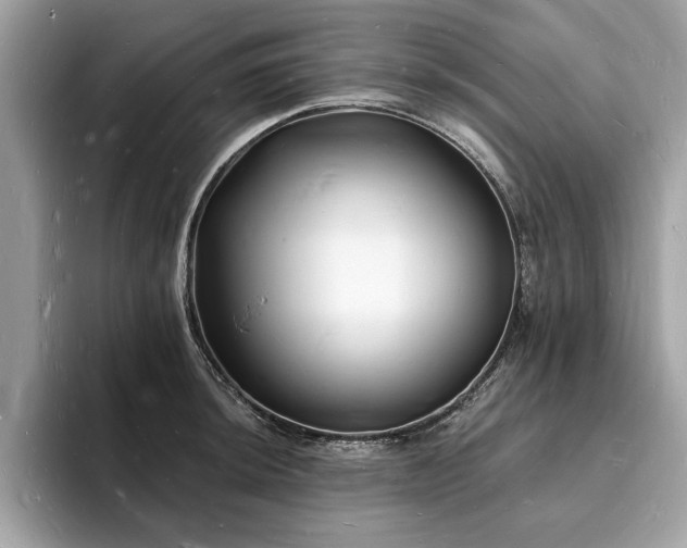 X0000093721044200710161055