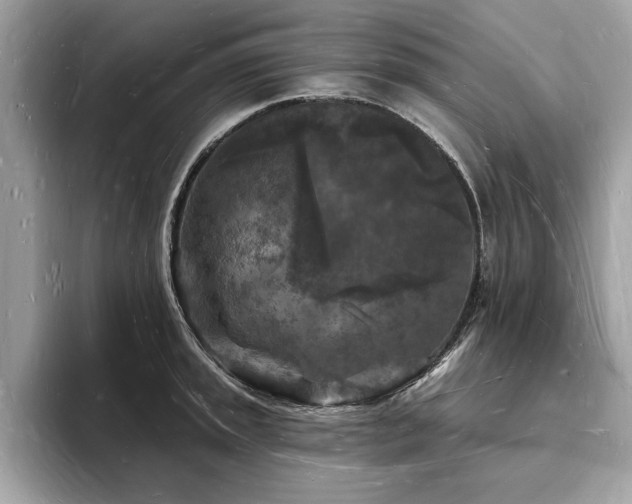 X0000093721045200710161055
