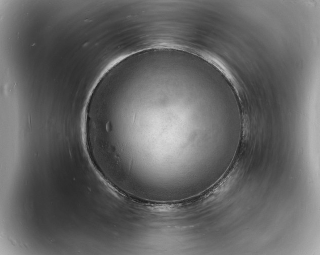 X0000093721048200710161055