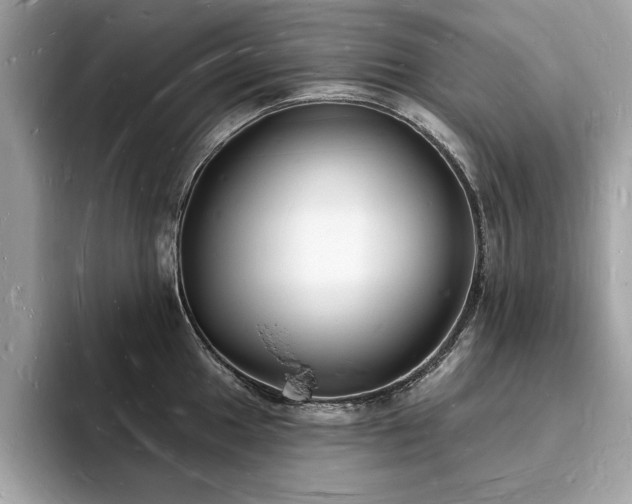 X0000093721049200710161055