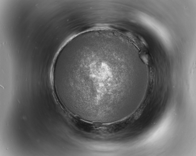X0000093721054200710161055