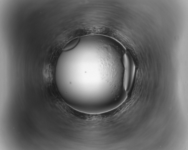 X0000093721058200710161054