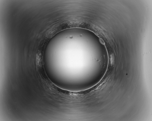 X0000093721059200710161054