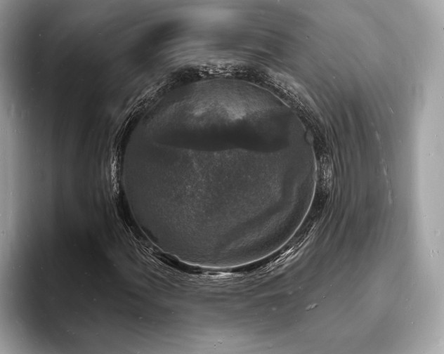 X0000093721060200710161054
