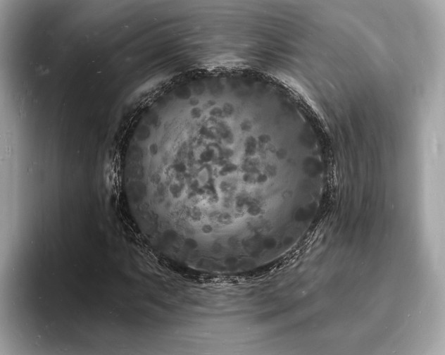 X0000093721063200710161054