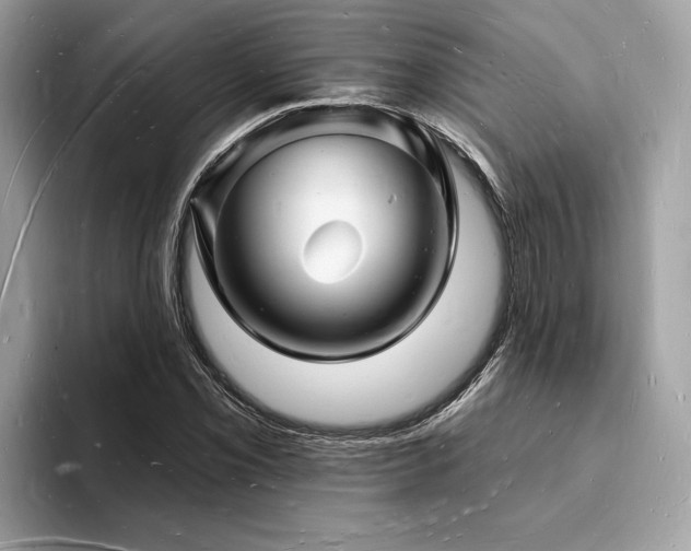 X0000093721069200710161054