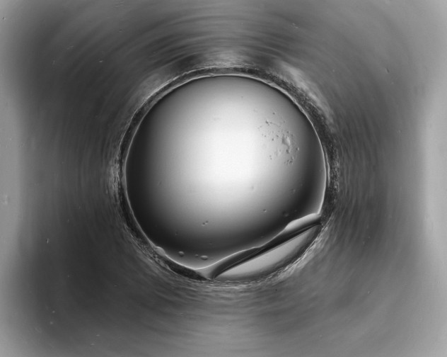 X0000093721073200710161054
