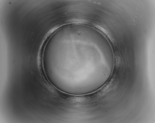 X0000093721074200710161054