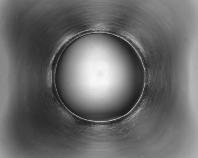 X0000093721075200710161054