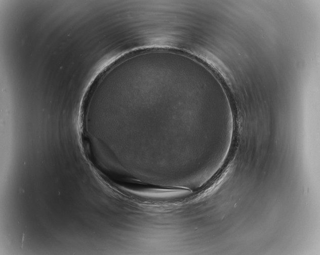 X0000093721077200710161054