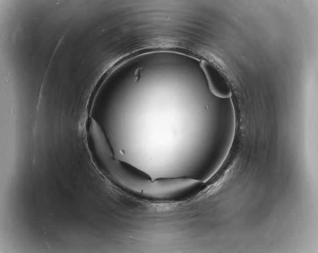 X0000093721081200710161054