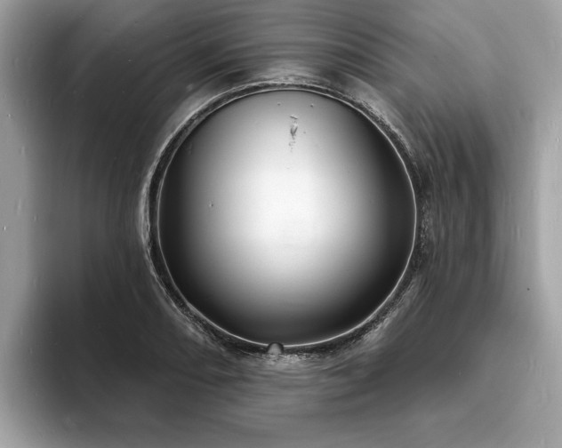 X0000093721082200710161054