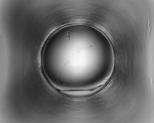 X0000093721083200710161054