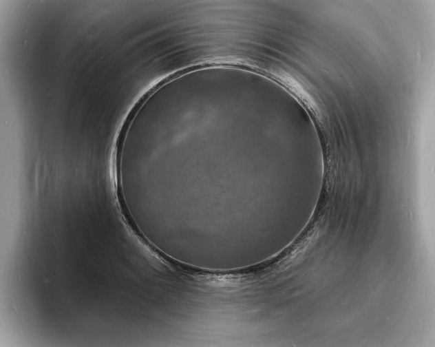 X0000093721084200710161054