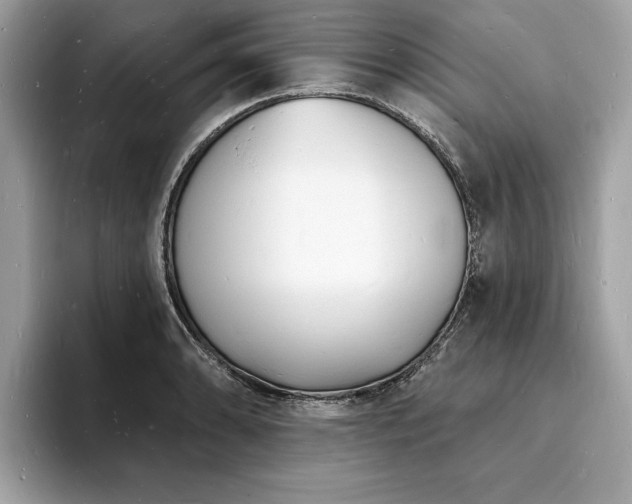 X0000093721086200710161054