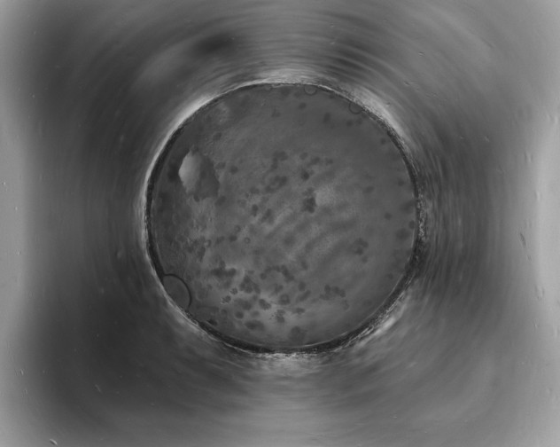 X0000093721087200710161054