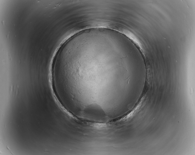 X0000093721088200710161054
