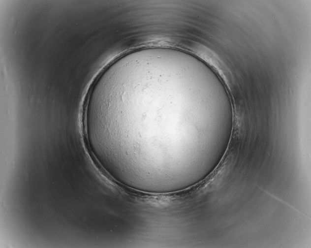 X0000093721090200710161054