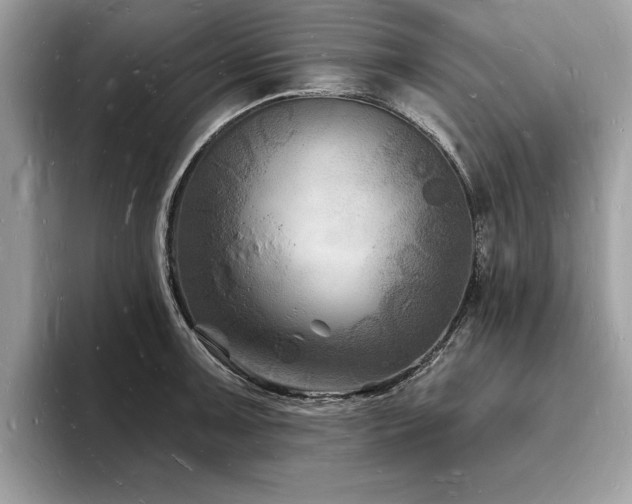 X0000093721091200710161054