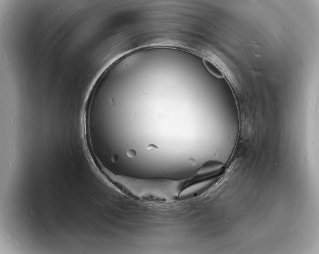 X0000093721092200710161054