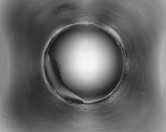 X0000093721096200710161054