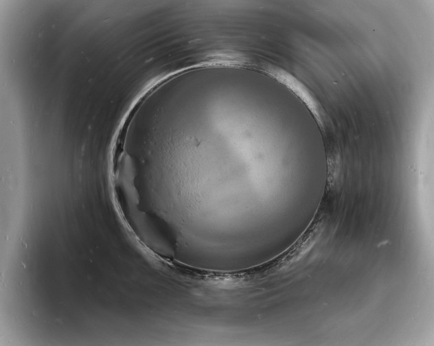 X0000093721099200710161054