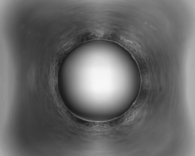 X0000093721105200710161053