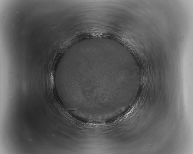 X0000093721106200710161053