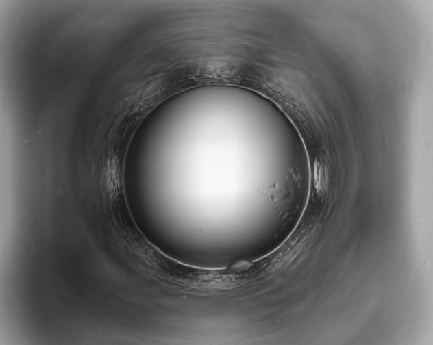 X0000093721107200710161053