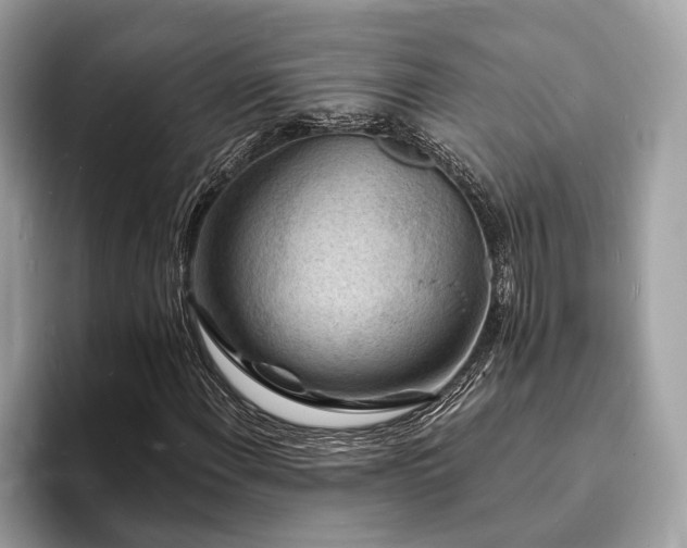 X0000093721108200710161053