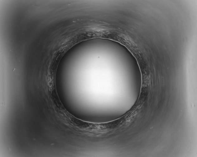 X0000093721109200710161053