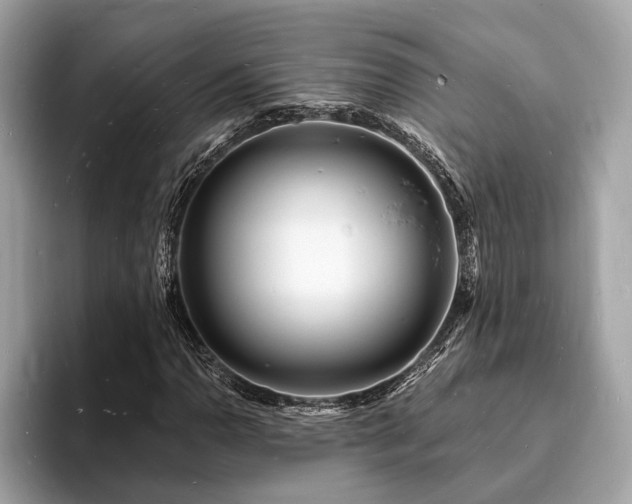X0000093721110200710161053